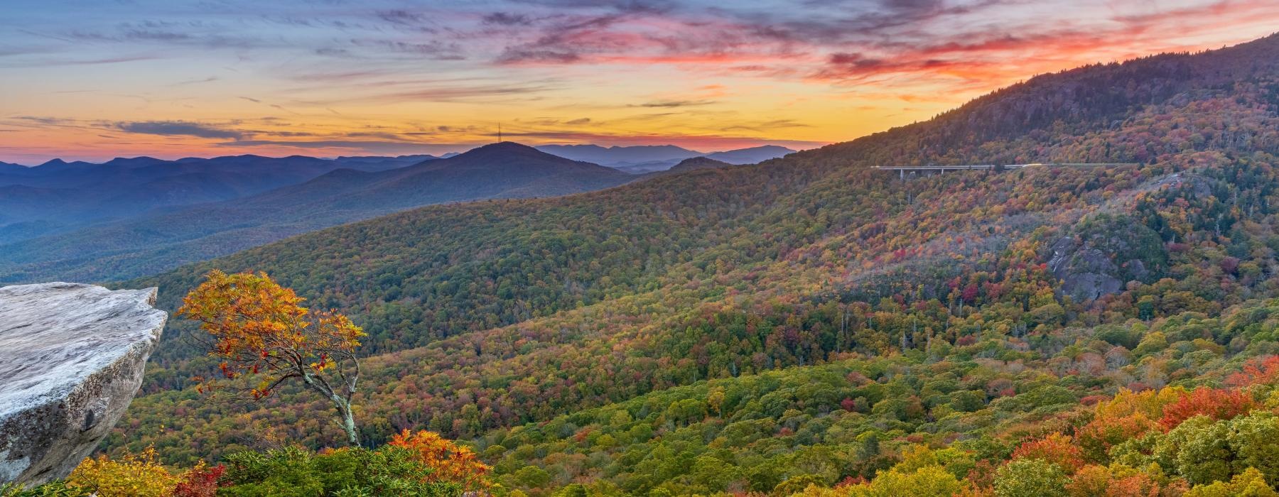 a view of a mountain range with trees and a sunset